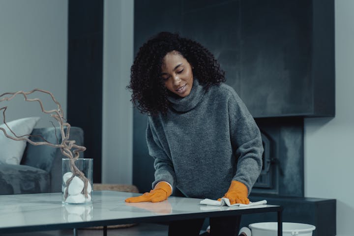domestic cleaner