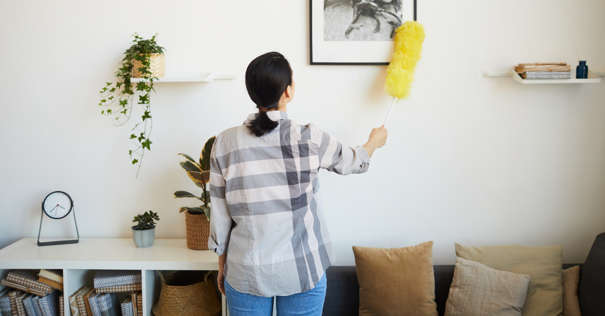 Difference between a housekeeper and a house cleaner