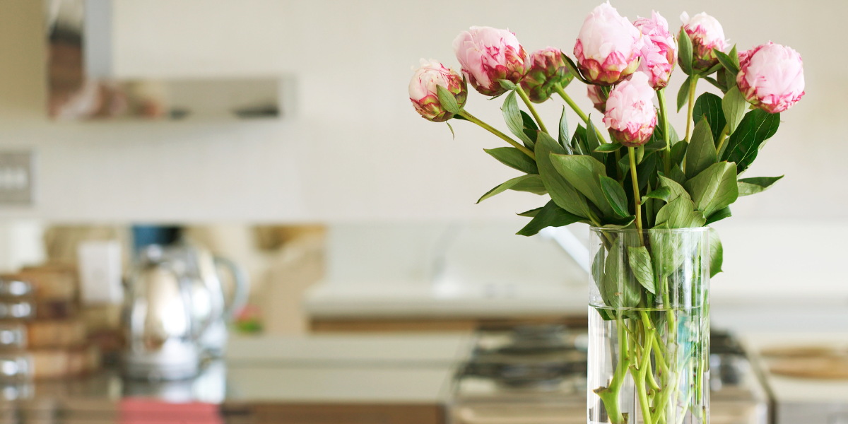 efficiently clean your house