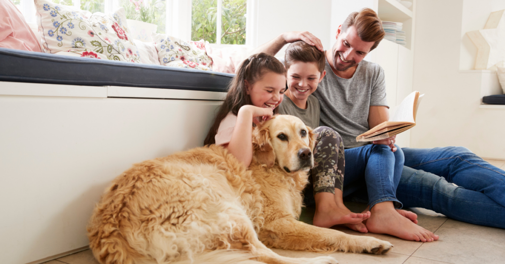 reduce your pet stress